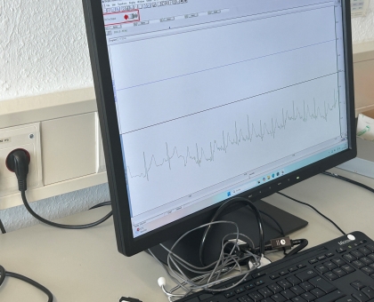 FERIENKURS: Vom Biosignal zur Diagnose: Entdecke die Medizintechnik!